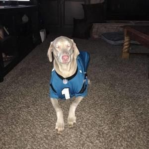 Meet your Posher, Aaron